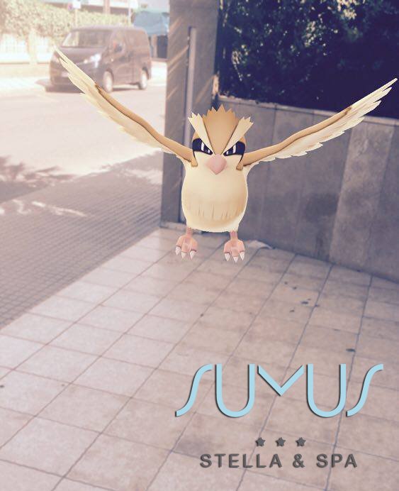 HotelStellaSpa's tweet photo. Look what we've just found... a Pidgey at @HotelStellaSpa  entrance and a #Zubat at the terrace!! #PokemonGO :D https://t.co/Tlr4QeMw8L