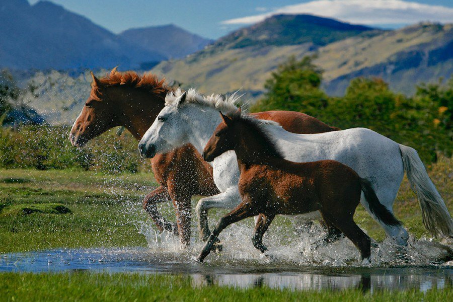 HaiwangY tweet media