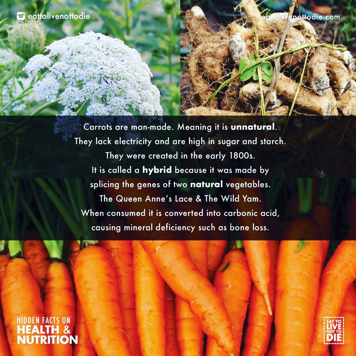 teachersupreme0's tweet image. We all were thought that carrots are good check this info out! #NONGMO