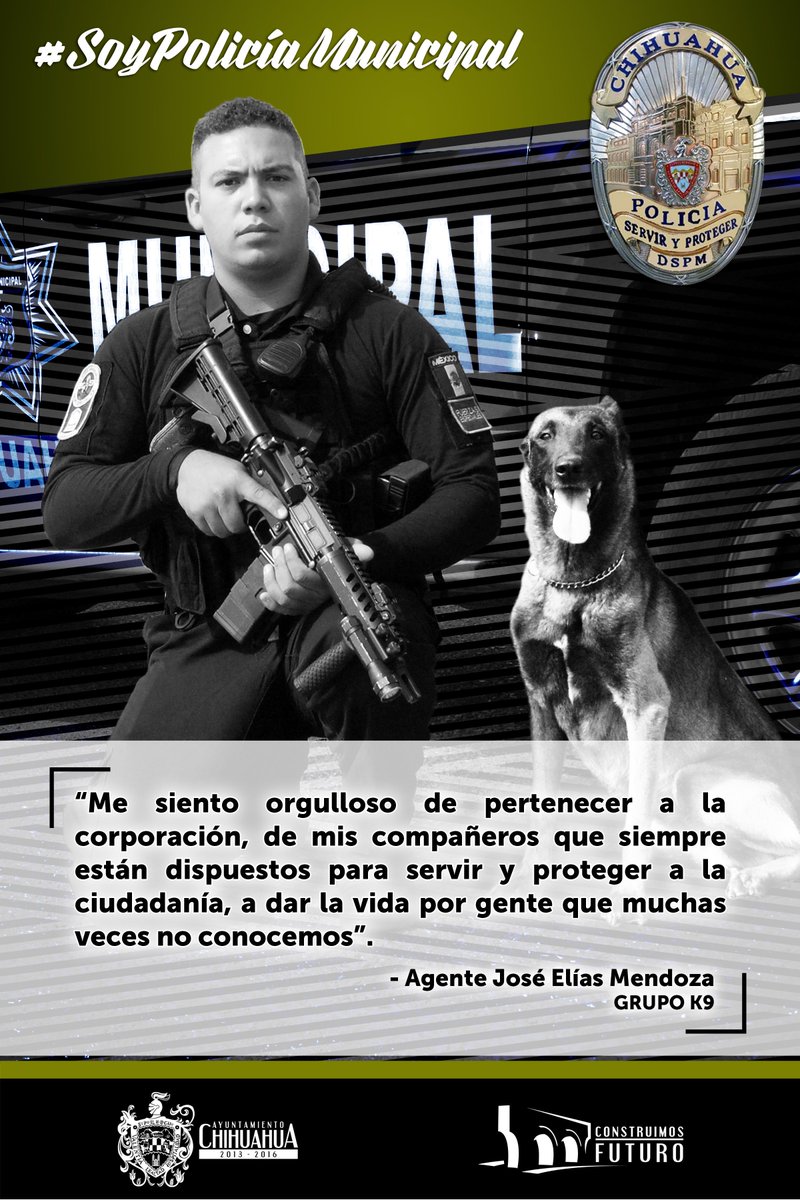 DSPM Chihuahua tweet media