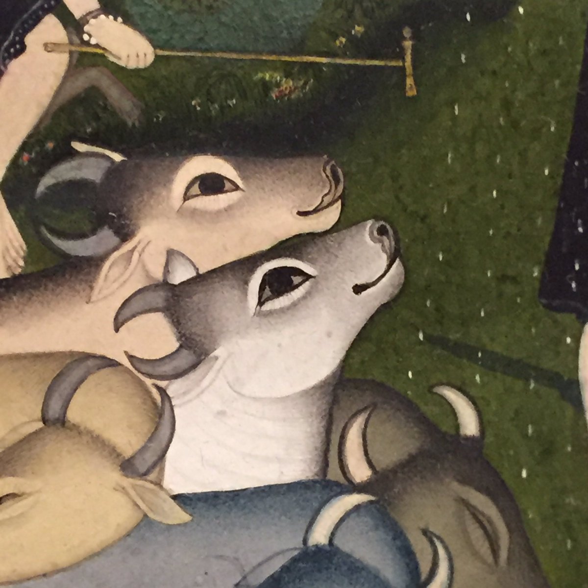 KurtBehrendt's tweet photo. Cows in the rain, detail of Krishna and Gopas, India, Bahu, 1725-50, watercolor on paper, #divinepleasures https://t.co/yofWANCPok