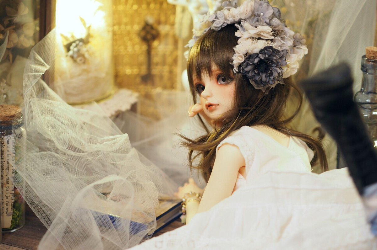 kicodoll's tweet photo. ミチルちゃんでも肘つき撮ってみたけど、肘つきというより、振り向き姿可愛いですね！って感じになりました（オーナーフィルター） https://t.co/cEtYLe4CkE
