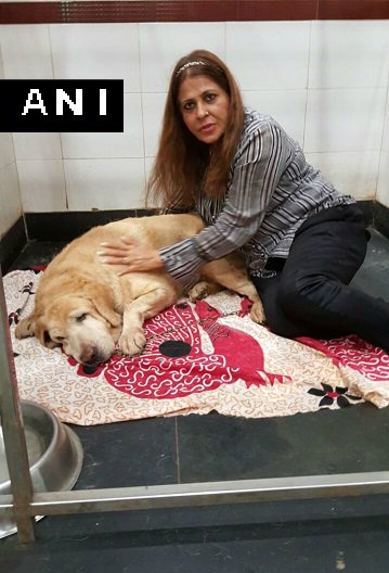 ANI on Twitter: ANI on Twitter: