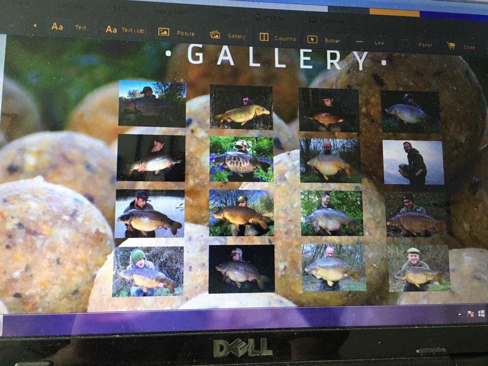 SterlingBaits's tweet photo. The NEW Sterling Baits website is nearly up and running. #BaitWithConfidence #SP1 #CN2 #KC70 https://t.co/BYAHy4xAxR