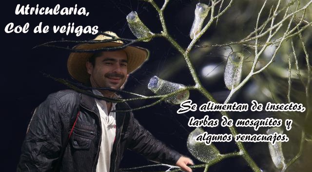 BadilloHomero's tweet photo. @plantasENSE @CienciasENSE https://t.co/Gj9xw7F3MR