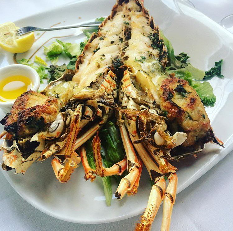 Lobster mini-season is so close! Here's where to find them in #KeyWest ow.ly/GO2l302AaHm No catching necessary