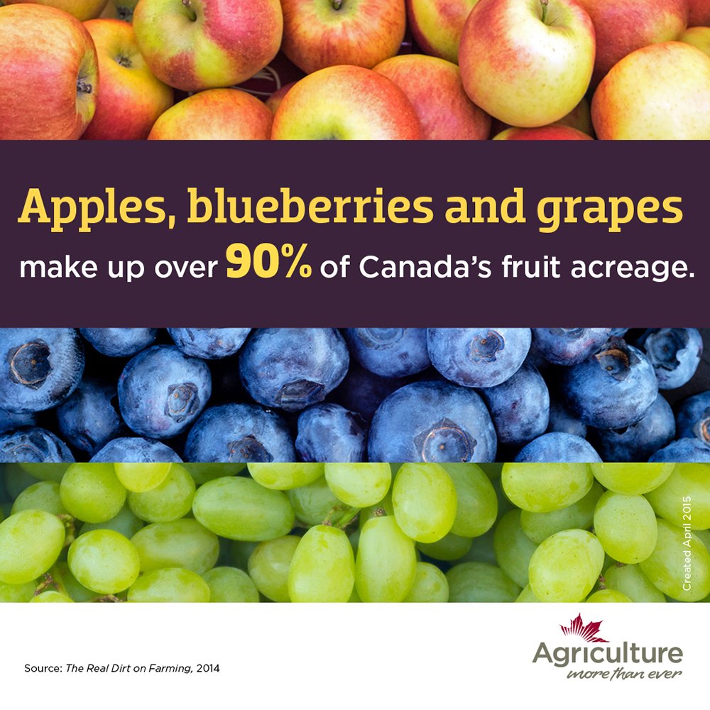 BromeFair's tweet photo. #agmorethanever https://t.co/SMui088D7S