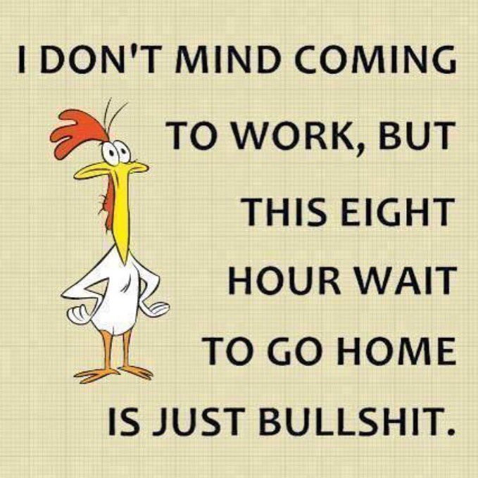 SmartAssTwit's tweet photo. Werk, werk, werk, werk, werk...
#jokes #ImNotDifficultBut #comedy #work #Rihanna #mondaymotivation #morningjoe #love https://t.co/25nuYpEqzI