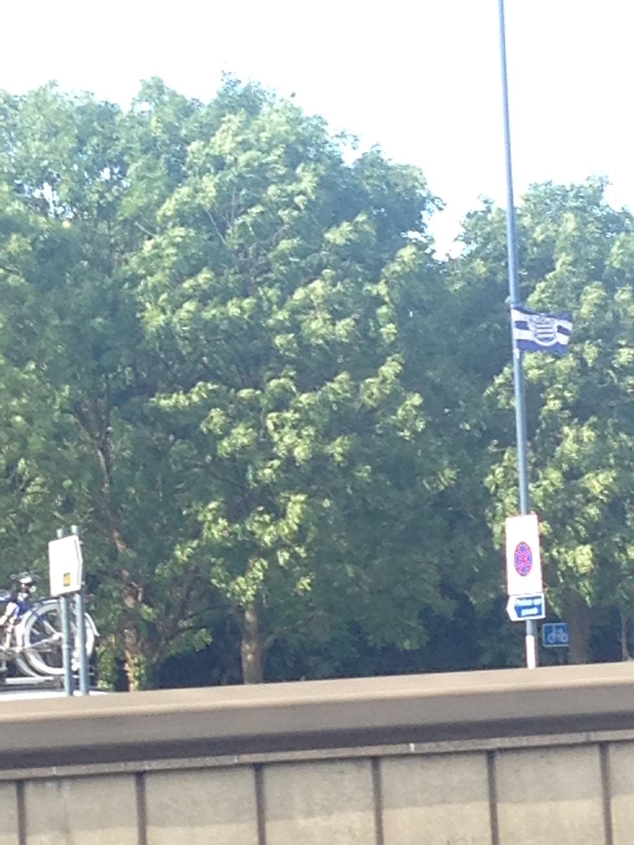 SouvlakiGazz's tweet photo. Who put this @QPRFC flag up on the A40 near Ealing ?!?
#QPR 👌🏻🔵⚪️🔵⚪️
😂😂😂 https://t.co/Sl2jAnoJal