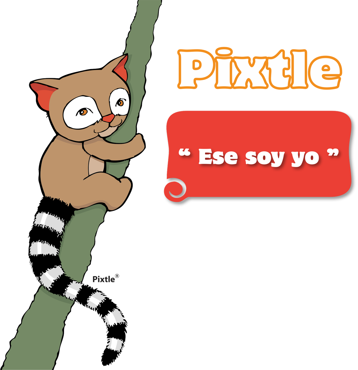 MitziArias_'s tweet photo. El es #Pixtle un cacomixtle habitante de nuestra cuenca.Participa en la campaña "#NuestraAgua viene de las cuencas" https://t.co/A3u5SYljd0