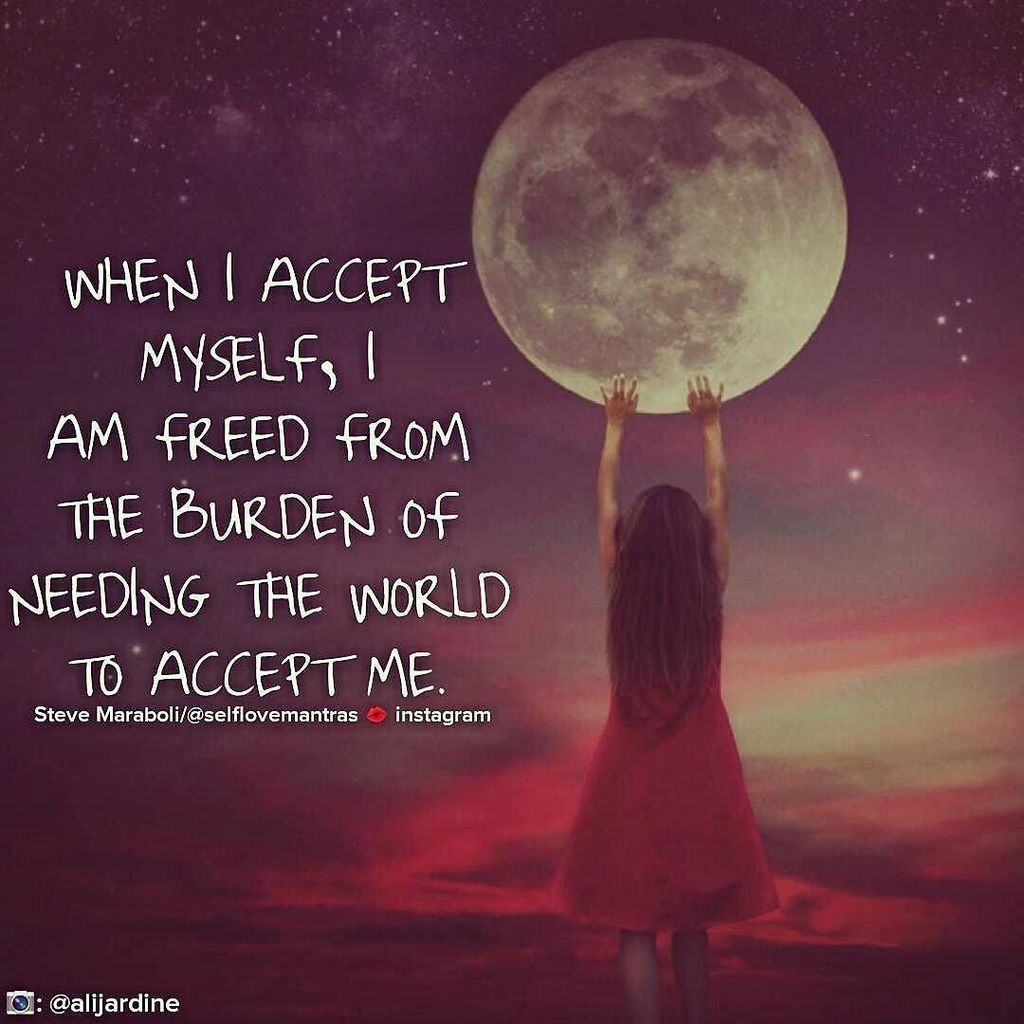 everything i did tweet media