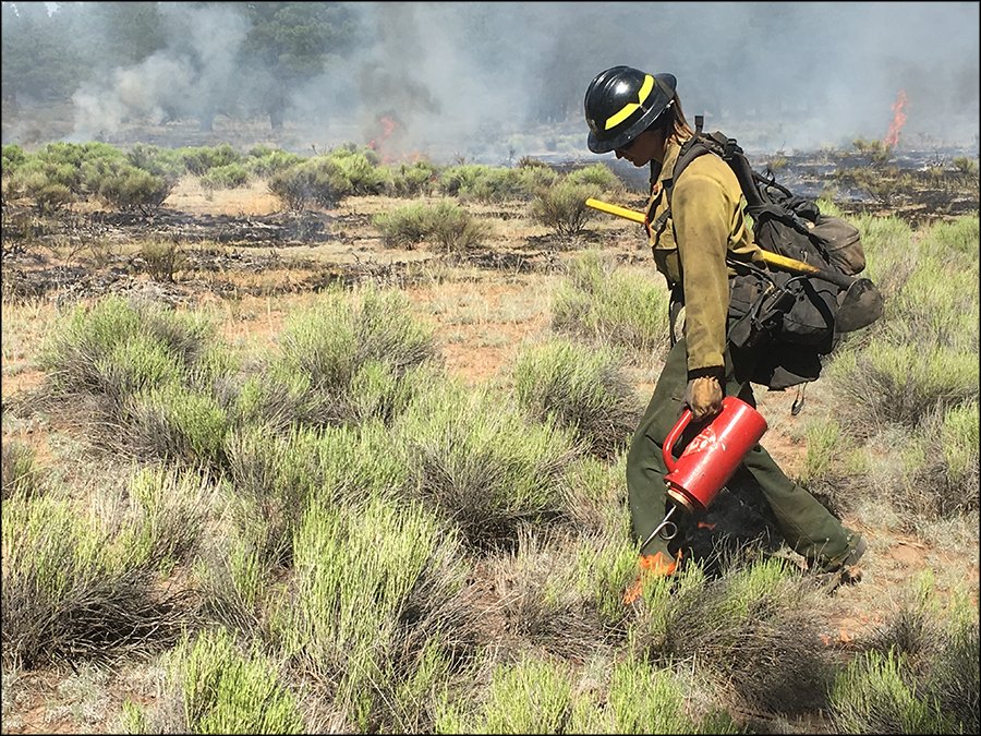 KaibabNF's tweet photo. Coco Fire Continues Throughout The Rains https://t.co/RSpjOZJBuI @KaibabNF @inciweb #CocoFire #wildfire #tusayan https://t.co/a99nkVaJK7