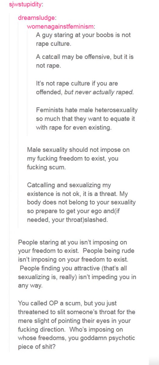MeninistTweet tweet picture