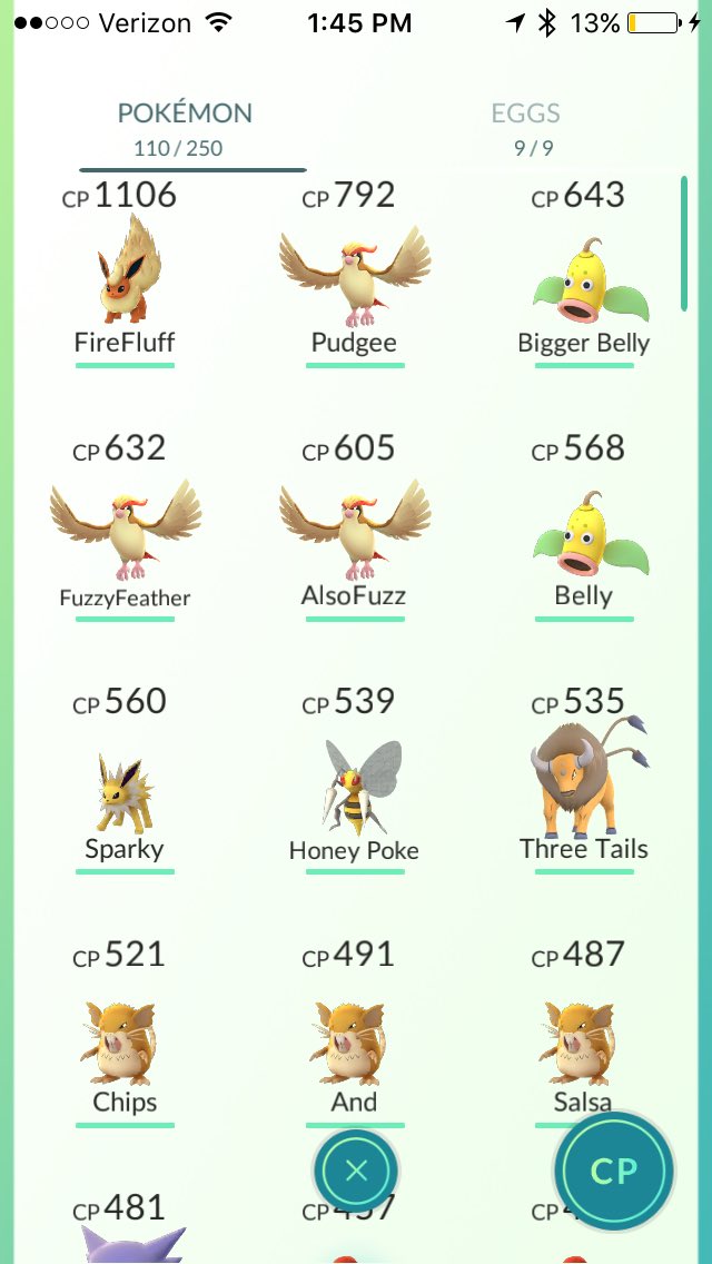 PMPotatas's tweet photo. My 6 yo niece helped me rename most of my Pokemon... Some of the names might have been my idea. https://t.co/1crhJgnXbt