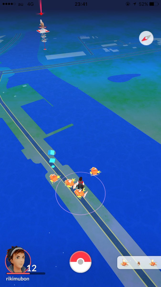 コイキングの巣