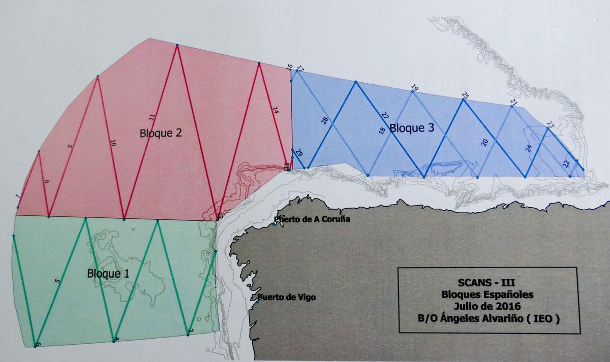 SCANS-III (@scans_3) on Twitter photo Map of Spanish blocks including the transects to survey by <a href="/IEOoceanografia/">Instituto Español de Oceanografía</a> onboard R/V Angeles Alvarino in July2016 Map of Spanish blocks including the transects to survey by <a href="/IEOoceanografia/">Instituto Español de Oceanografía</a> onboard R/V Angeles Alvarino in July2016