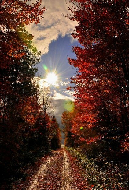 arasaucedo24's tweet image. ~There is no way to PEACE ... PEACE is the way.~💕
                 • Mahatma Gandhi •
#PeaceIsPossible ☮️