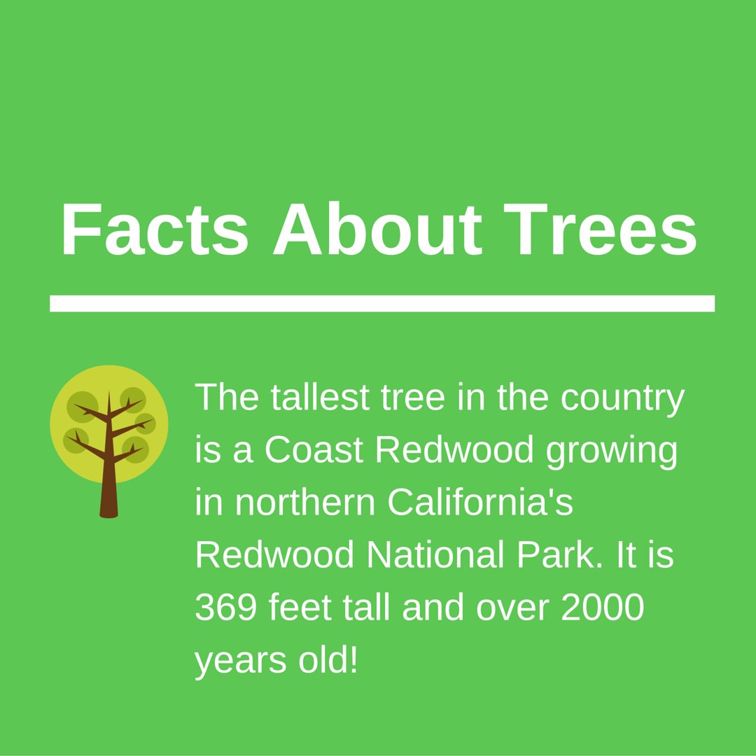 keepforests's tweet image. Share To Help Promote Awareness About Forest &amp;amp; Wildlife Conservation: KeepForests.com