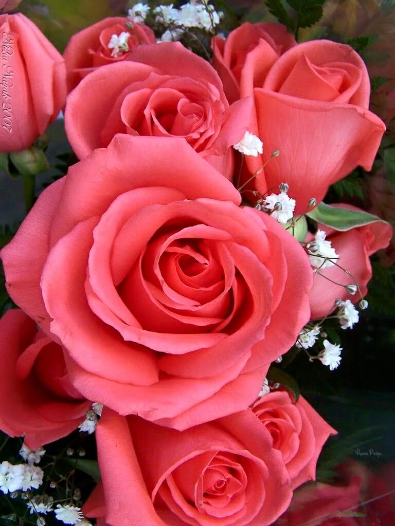 <a href="/MarionSpekker/">Marion Spekker</a> 
<a href="/marienassar_/">Marie Nassar</a> 
<a href="/AlinaDal_F/">ADF</a>