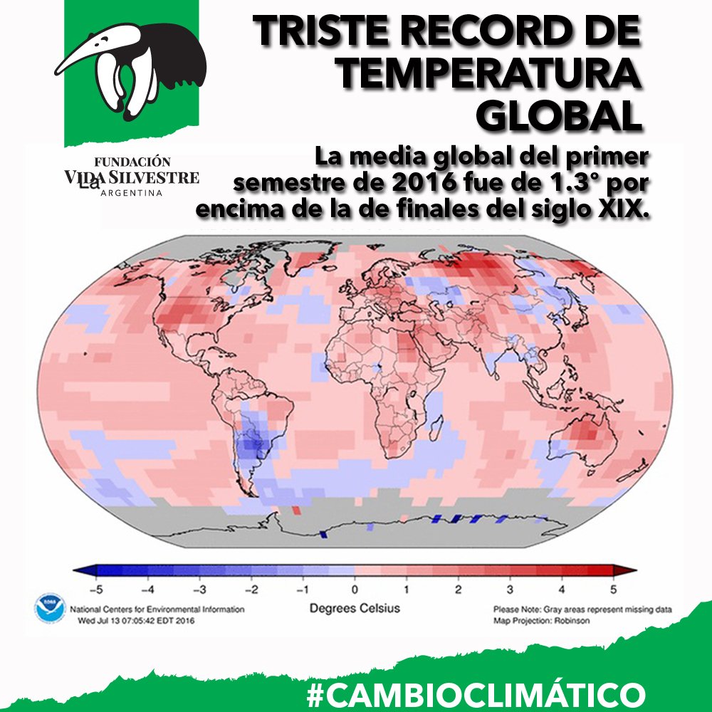 Vida_Silvestre's tweet photo. El estudio además reveló que los niveles de dióxido de carbono también rompieron récords entre enero y junio de 2016 https://t.co/zLxmQ9Qc1P