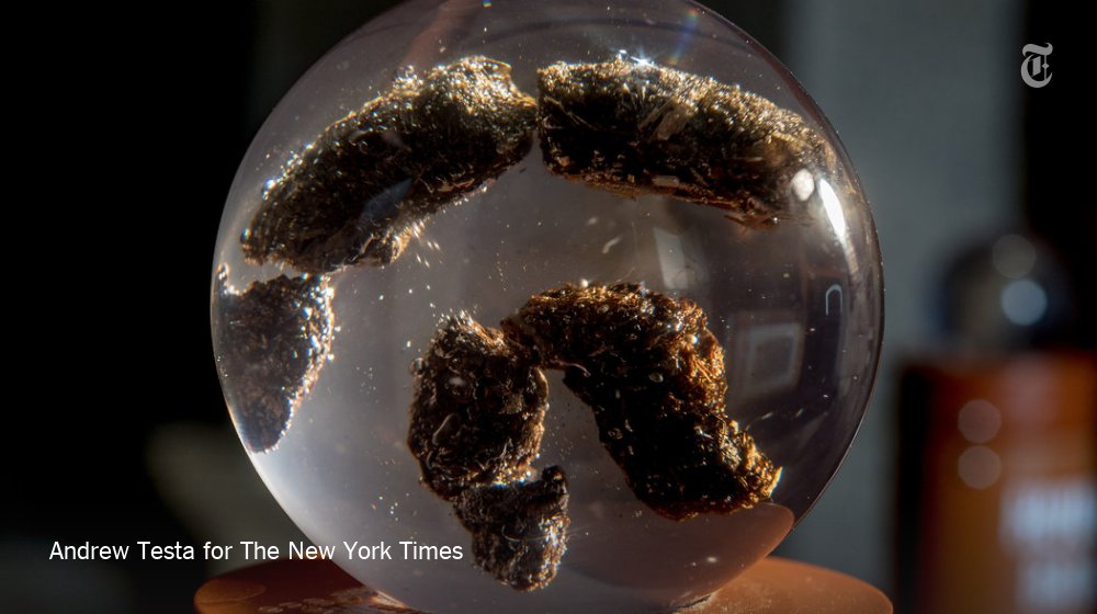 nytimes's tweet photo. There is a museum in southern England devoted to poop. Yes, you read that correctly.
https://t.co/os3uRDN5WI https://t.co/ZL5nW3C8TI