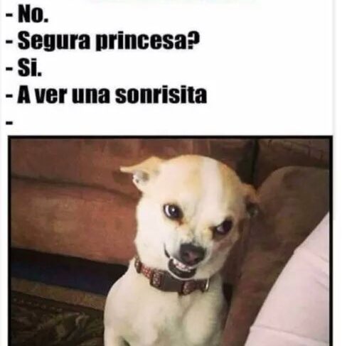bebi_fernandez's tweet photo. ¿Estás enfadada? https://t.co/DAx0aqSP5B