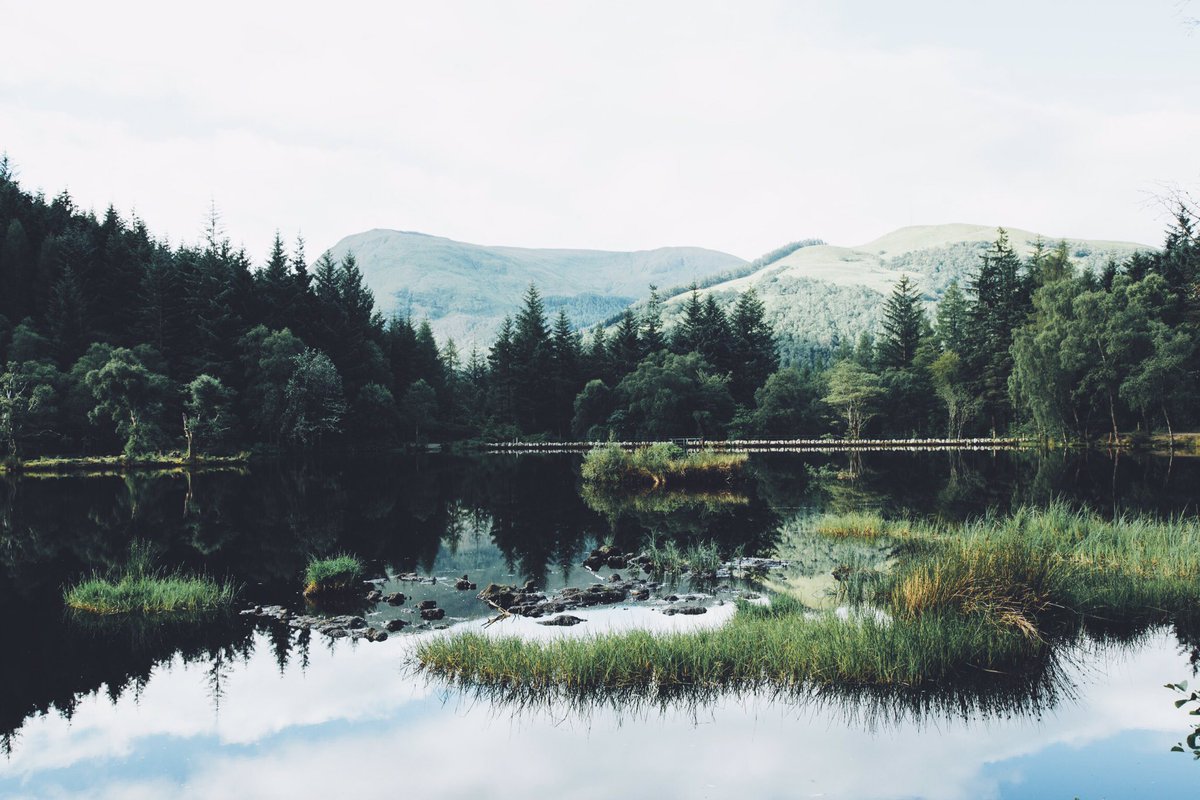 DanielCasson1's tweet photo. Lochan https://t.co/wyYOGpQdiY