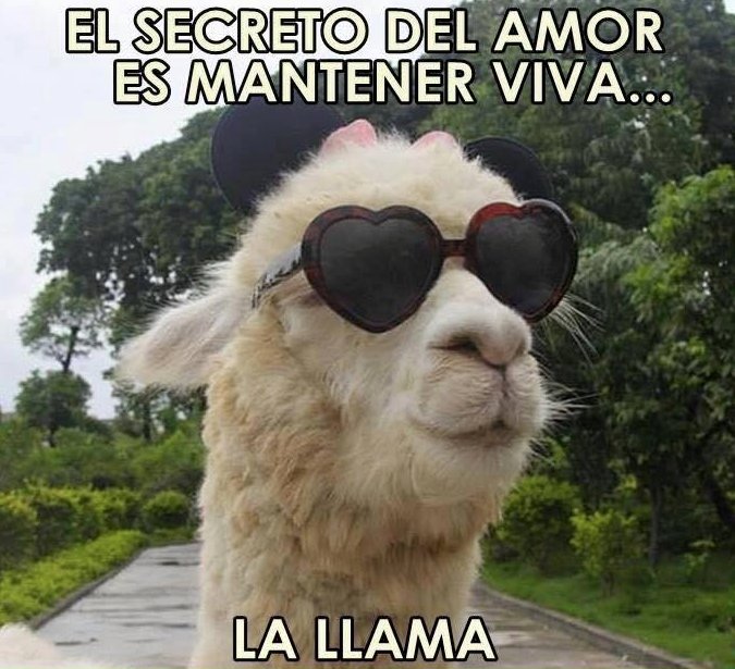 ¡¡¡Llamas a mí!!!