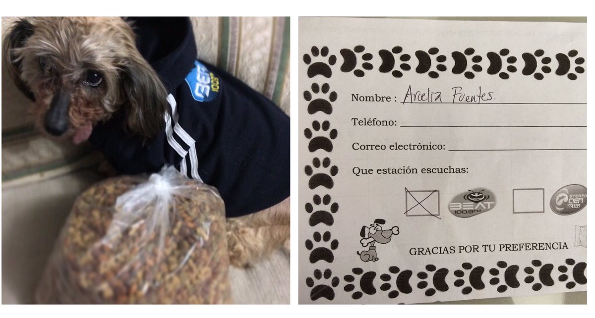 ArceNaye's tweet photo. @BEATOFICIAL No quería pero la convencí #Chikys y yo ya donamos 🐶💕 @Wallacebt @FrankEsMiNombre @BlancaBeat3 https://t.co/3bzEs4C6U3