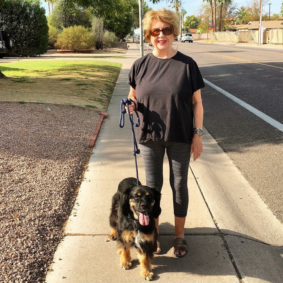 Woodrow signed up for the boot camp this week! #Progress #DogTraining #Scottsdale