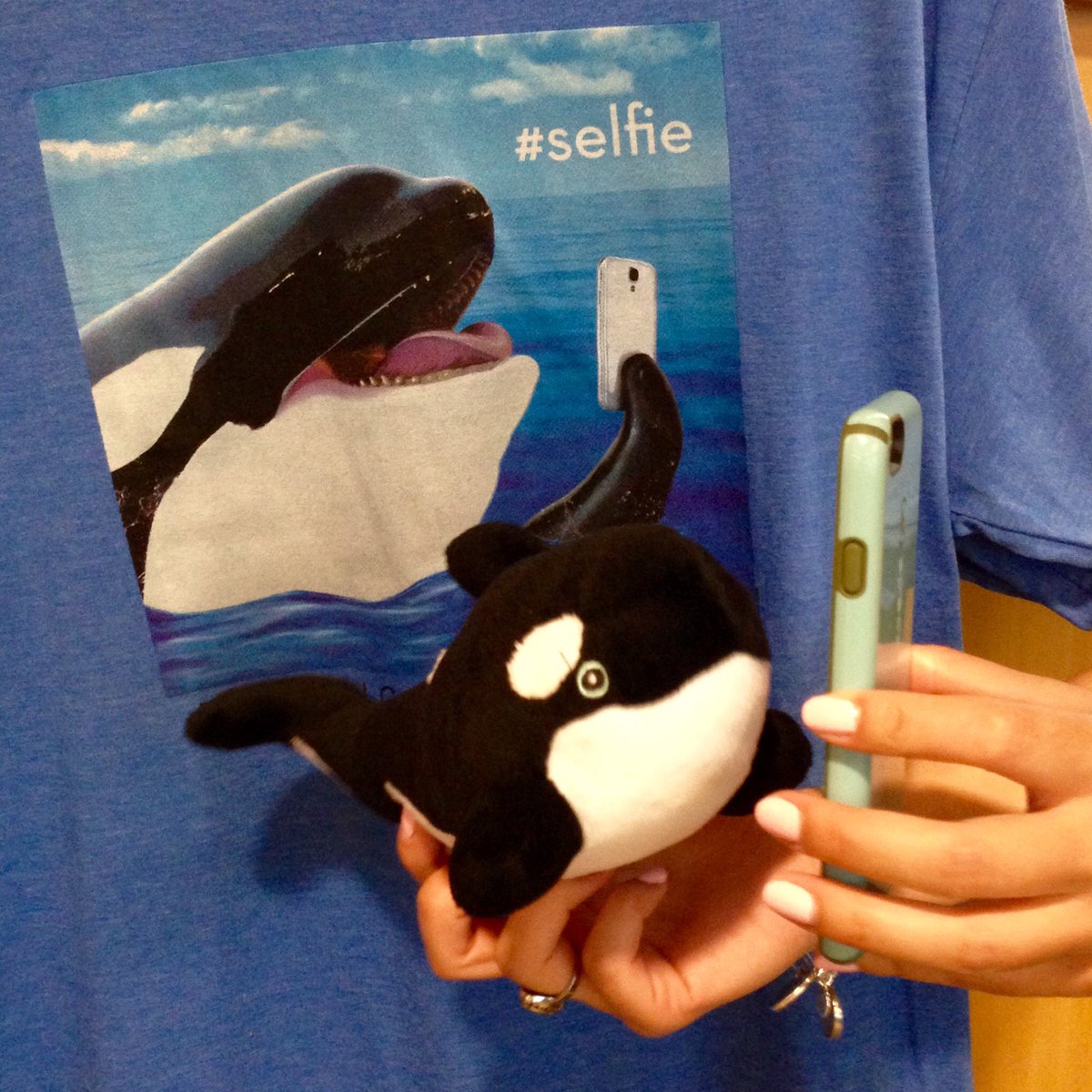 WhatcomDaveK's tweet photo. Ollie: "Huh. I thought for sure I'd be the only selfie-snapping orca headed for #HU2016. Weird." https://t.co/vTD9g2vhzN