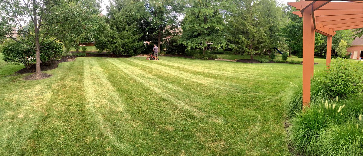 Mowtimellc's tweet photo. #MowTime layin' stripes https://t.co/CagPXVywWN
