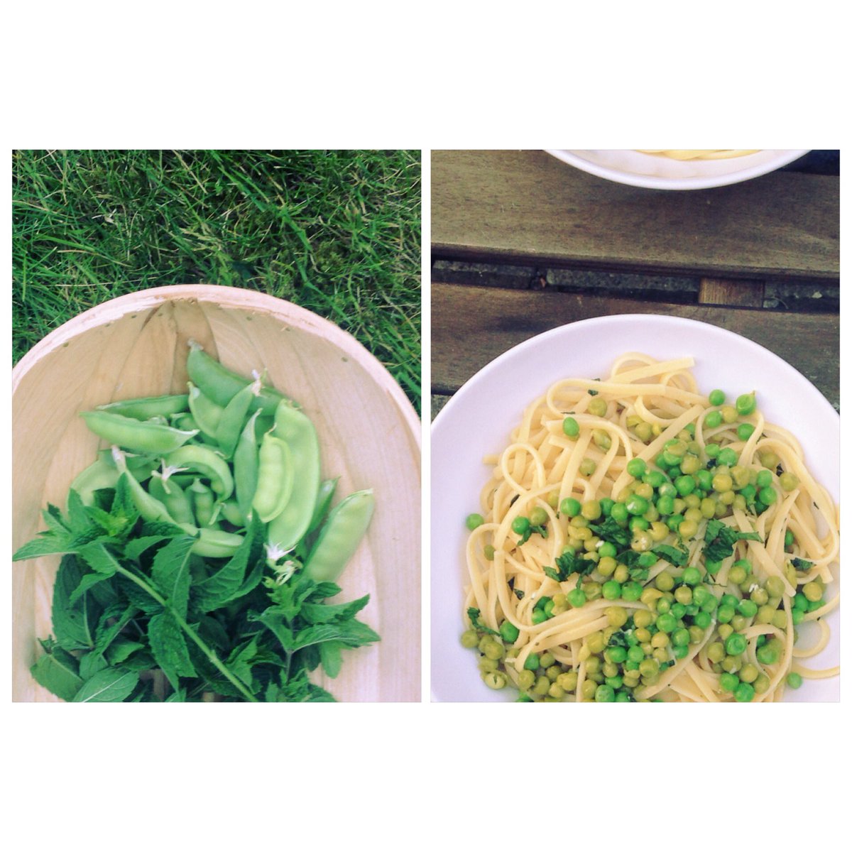 Cerimakes's tweet photo. From pod to plate, recipe @waitrose @Padella_Pasta #homegrown #WaitroseFood https://t.co/JyphNJqfsH