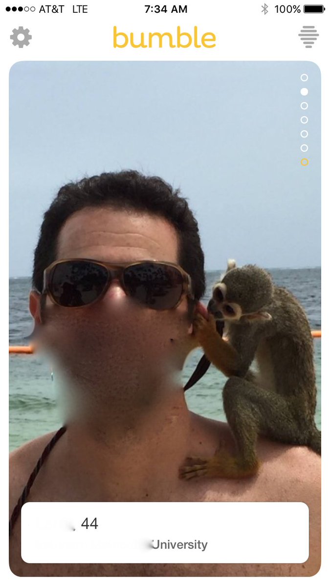 TheSwipeLife's tweet photo. #TheSwipeLife profile pics. First it was tigers. Then monkeys. https://t.co/cHsl5Lyj2s