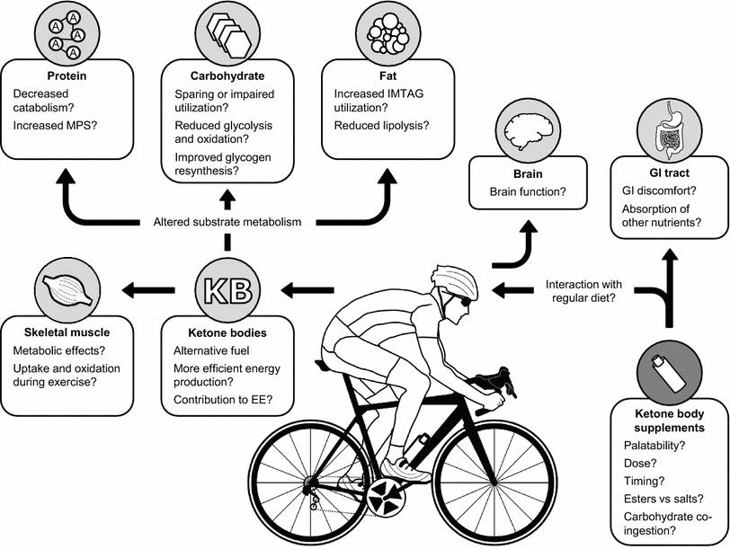 medicosergio's tweet photo. Cuerpos cetónicos y rendimiento deportivo ¿Si o NO? 
https://t.co/hlJUlljWWf
#nutricion #deporte https://t.co/OpQEOxQNZm