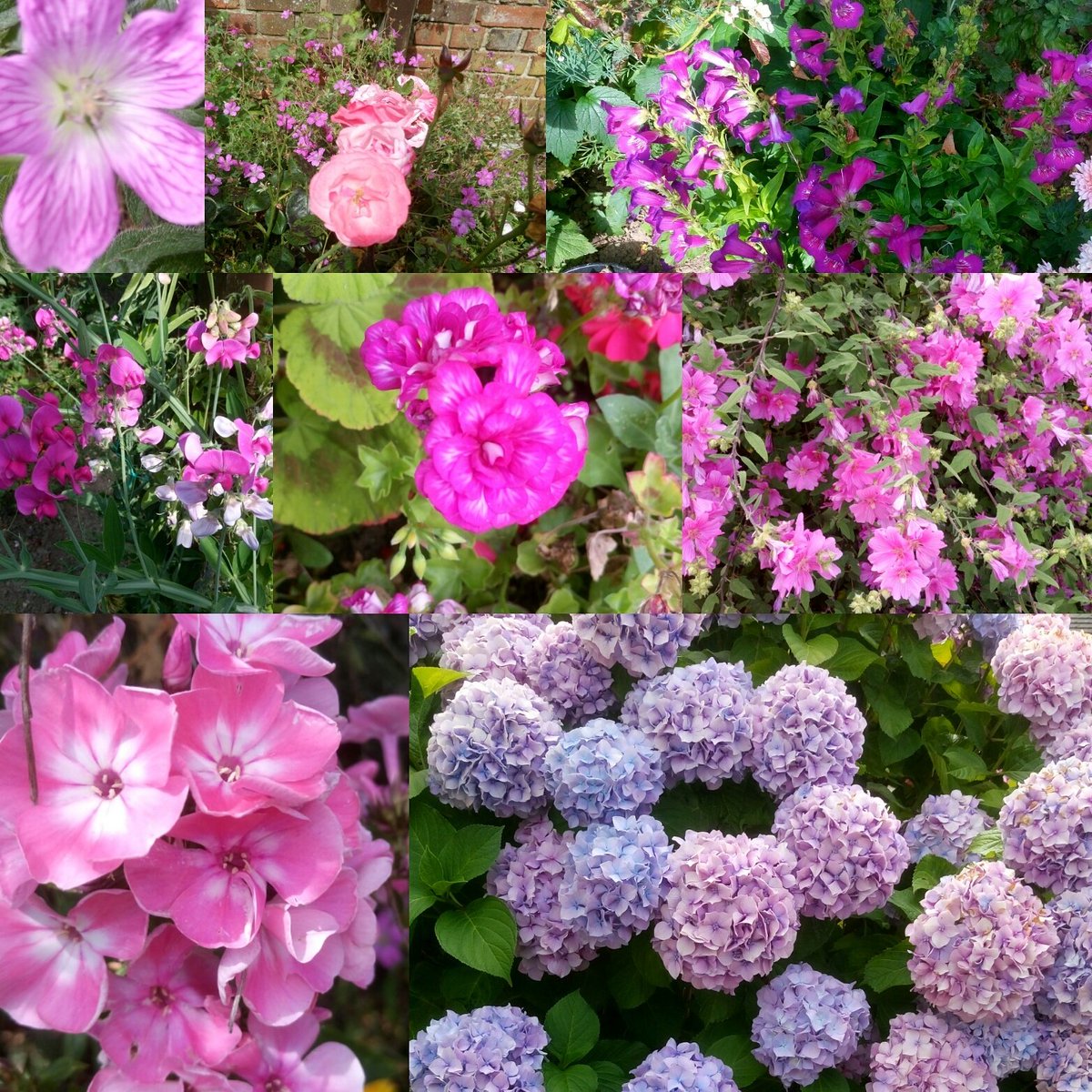 TiDeeHome's tweet image. Taking a few days off, I'll be back to work next week 😁