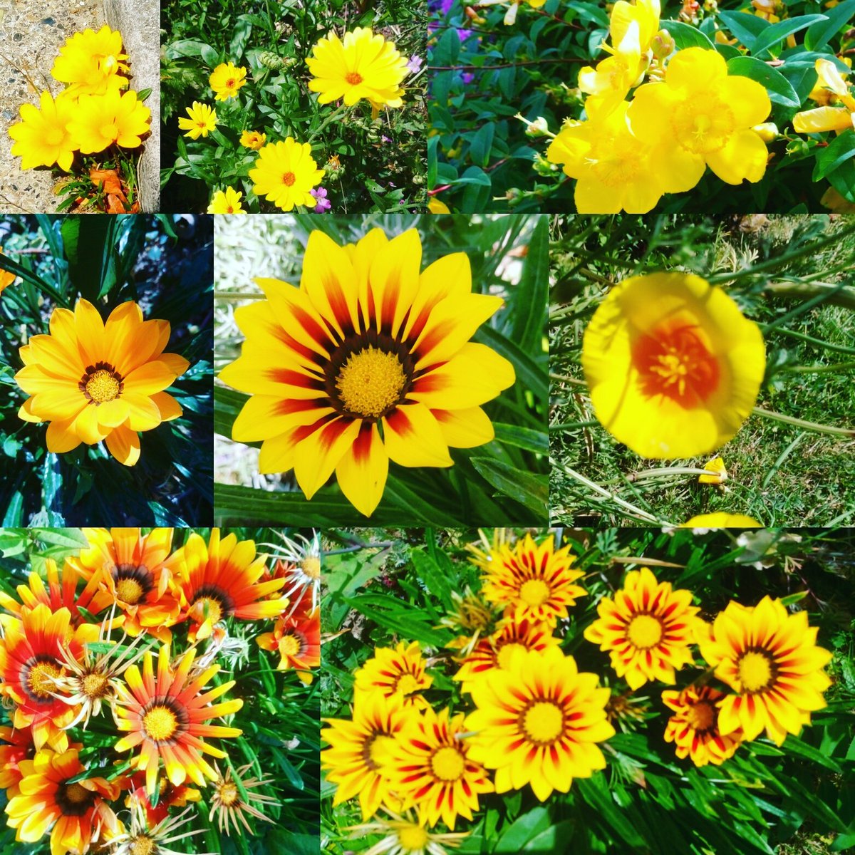 TiDeeHome's tweet image. Taking a few days off, I'll be back to work next week 😁