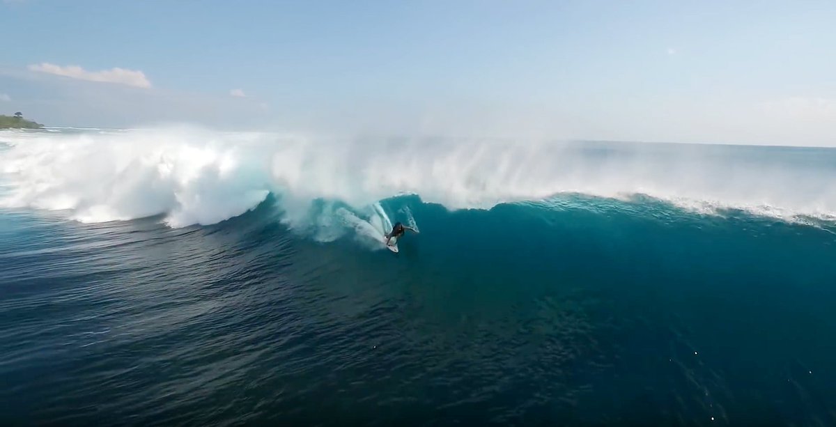 Surfline tweet media