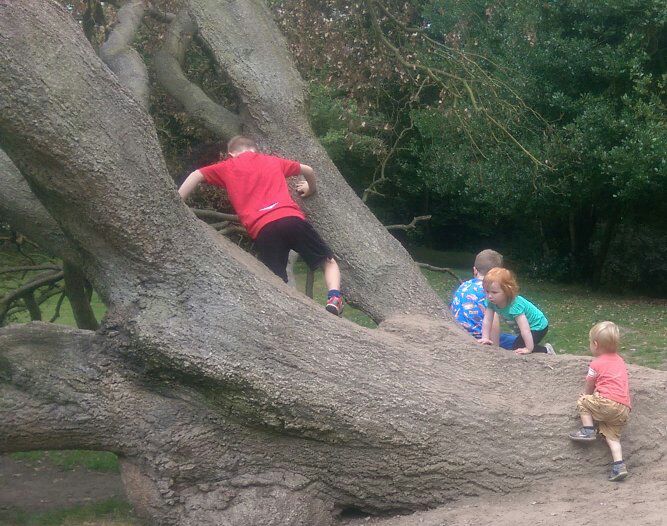 Sarah Woodward tweet media