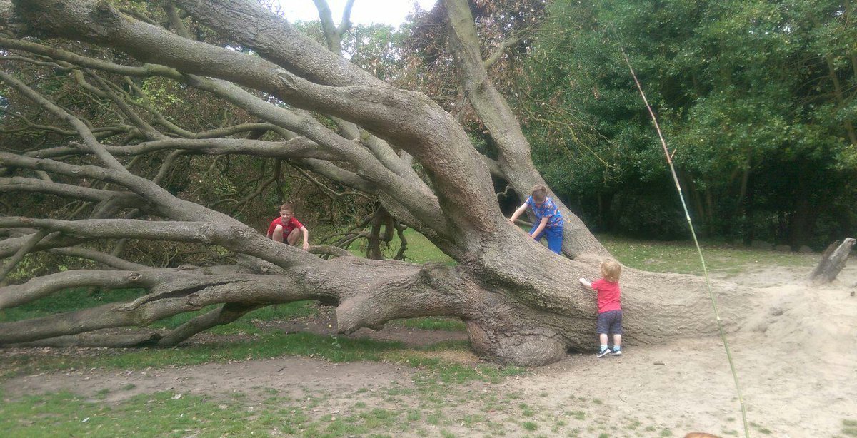 Sarah Woodward tweet media