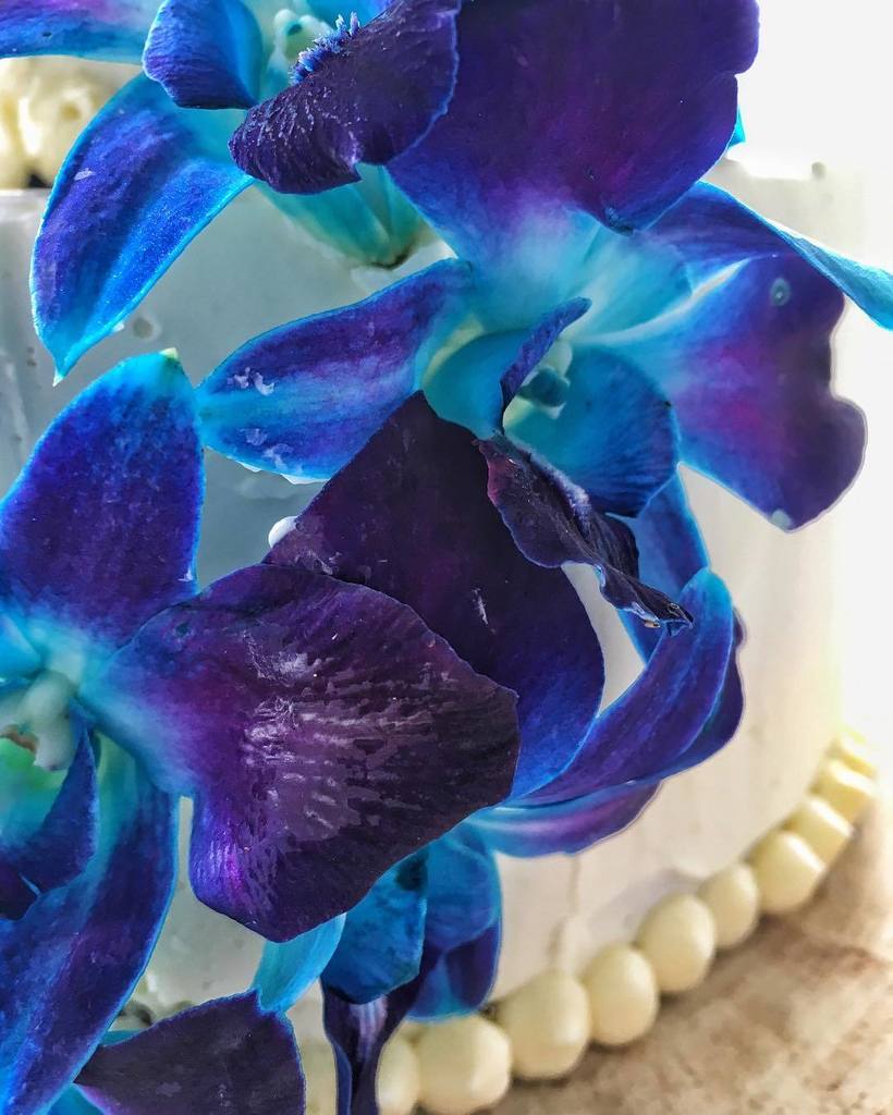 LS_Karl's tweet photo. My sister @astreichs makes a tasty - and good looking!!! - wedding cake. #CakeWitch #klsvo… https://t.co/u3UwJW6cMI https://t.co/2bJMzmKLqT