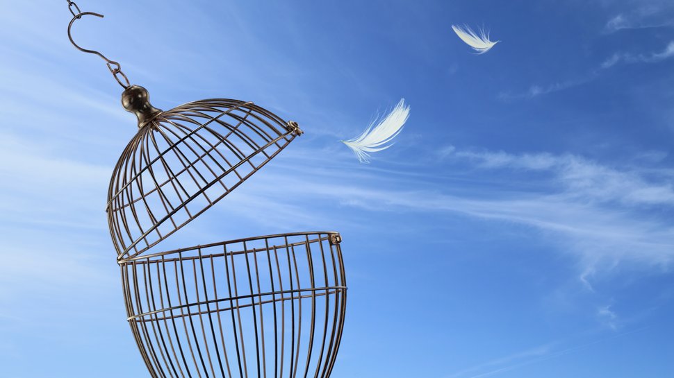 What Do Credit Cards and Christian Louboutin Handbags Have In Common?: ow.ly/Tgyh302AUku