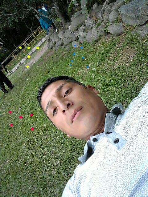 Alyconamor's tweet photo. https://t.co/QqAhFGHGLo