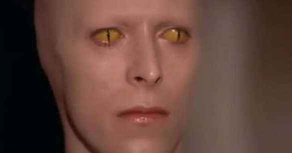 dalien77's tweet photo. #alien “disguise”
lines in (i) makes second “l”
becomes #dat “Allen”
#AmAlienWriting #DatAlien
@writefullymarie https://t.co/wAtvyYAU1j