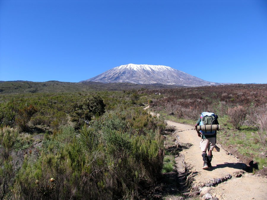 Ecoxpo's tweet photo. Want 2 climb Kilimanjaro &amp; explore the forest where Dr Jane redefined man? #JGIAClimb4Chimps https://t.co/pvFaj5npKm https://t.co/sF4ol1e18H