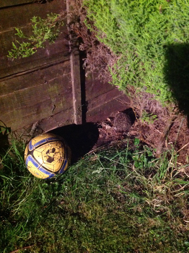 seanyreid16's tweet photo. @JenReid98 #foundpete https://t.co/XqmUryyuR1