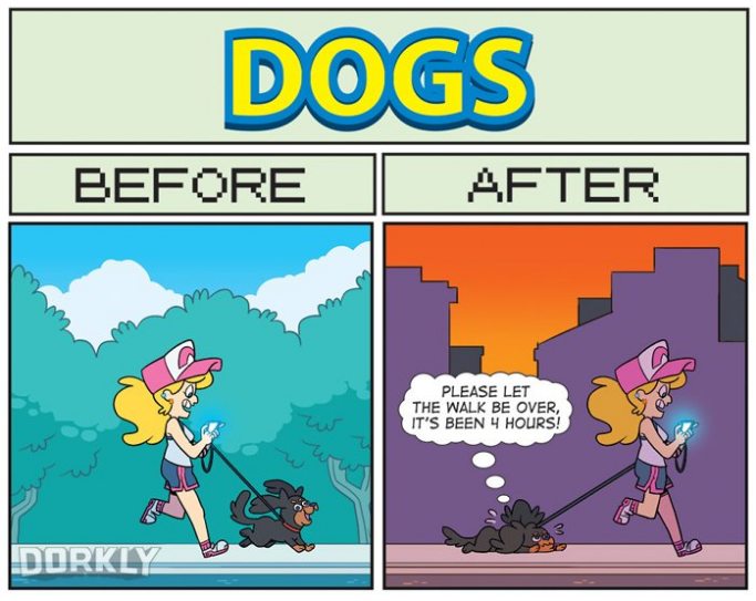 _PokemonGoESP_'s tweet photo. Esta noche le toca al mio #Pokeparadas y vuelta al perro https://t.co/PWmHAiAiXe