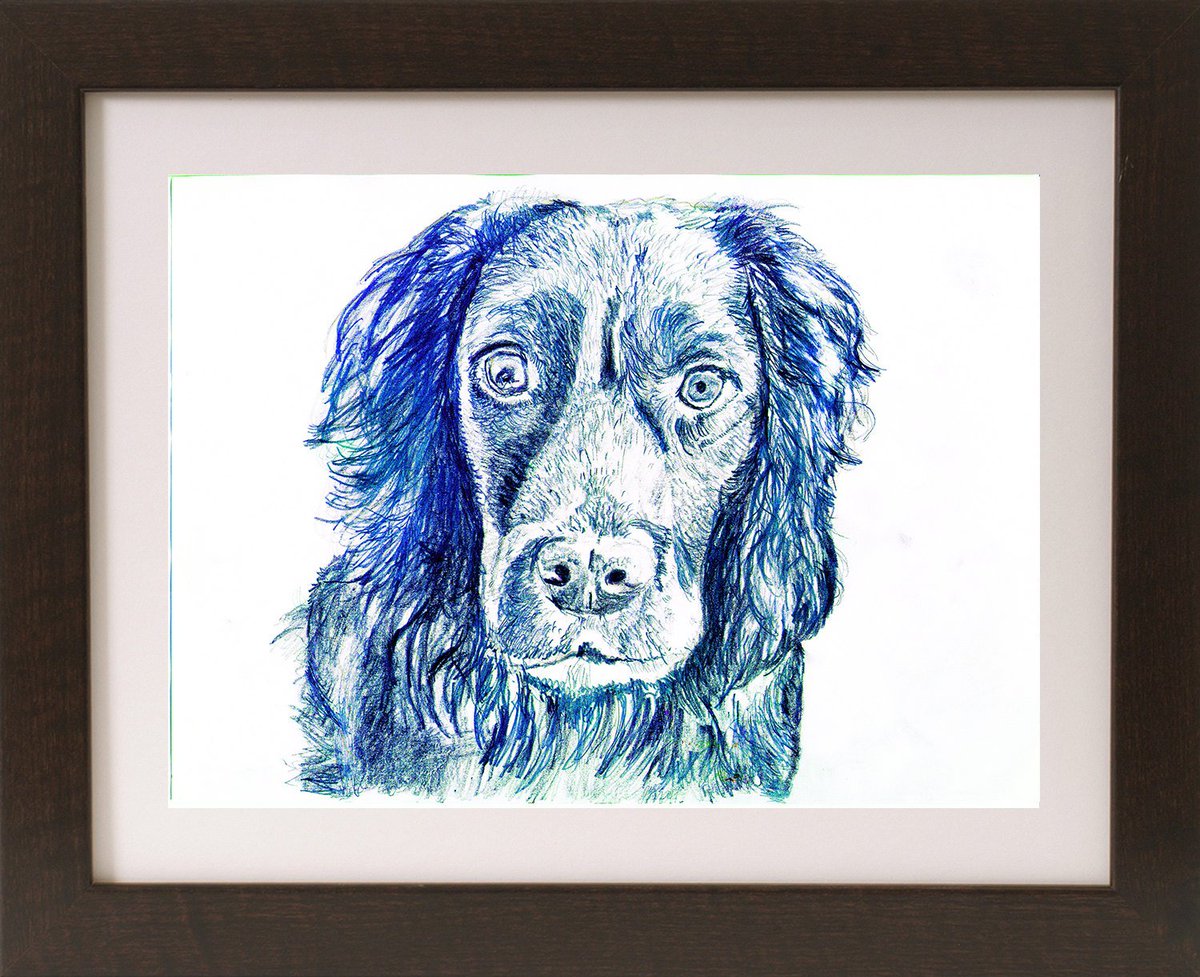 OscarJetson's tweet photo. Cocker spaniel Dog drawing, print from original working Cocker drawi… https://t.co/1FGCdvtEIS #doggy #SpanielDrawing https://t.co/YURvW0hbNp