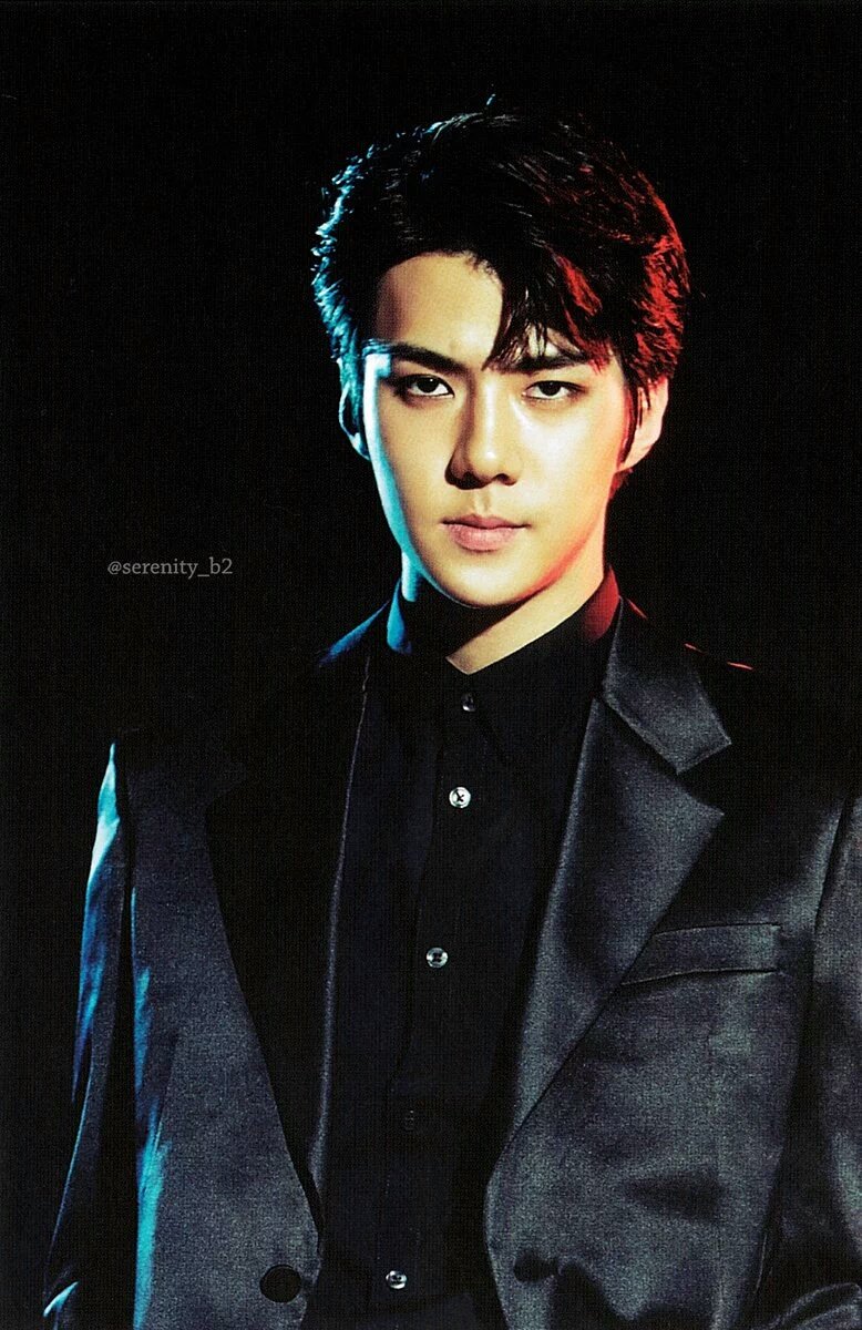 EXO UPDATE on Twitter: "[SCAN HD] EXO'rDIUM Standing Postcard - SEHUN