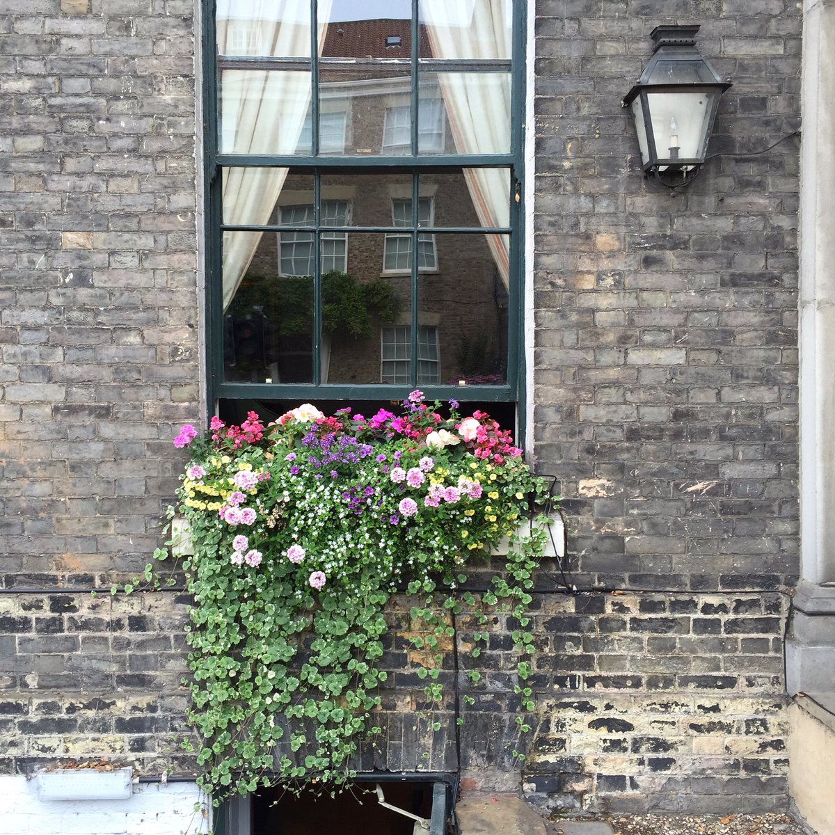 millypix's tweet photo. Wonderful window boxes brimming with colourful blooms at @GrangeHotelYork. #ttot #georgiangem https://t.co/WHQc3AIOWV